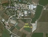 שפעת עופות: התפרצות H5 זן אלים בעין שמר