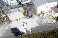 יפן: אבחון נגיף שפעת עופות H5