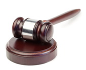 עתירה לבג"צ נגד השירותים הווטרינרים בנושא האגרת