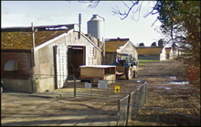 אנגליה מדווחת על אירוע שפעת עופות בחוות רבייה של ברווזים