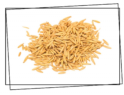 אירן: מקרים ראשונים של שפעת העופות באדם