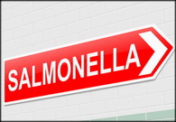 סלמונלה אינפנטיס, לא עוד סלמונלה