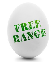 תשדיר טלוויזיה: מי מרוויח מביצי החופש ?