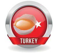 טורקיה החלה ליצא ביצי מאכל לאירופה