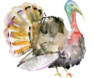 קדחת הנילוס המערבי: התגלו יתושים נושאי הנגיף