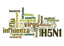 ניוקסל בלהקת מטילות בישוב בארותיים