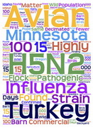 ארה"ב: נגיף שפעת עופות אלים במשק מסחרי במינסוטה