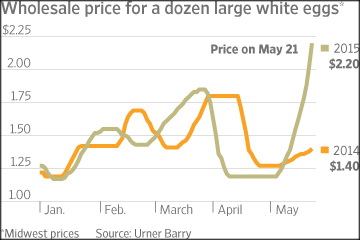 ההשפעה הכלכלית של אירועי שפעת העופות