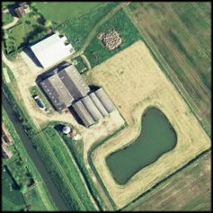 נגיף ה-H5N8 הגיע לאי הבריטי