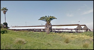 שפעת עופות בחצור