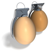 סערת הסלמונלה