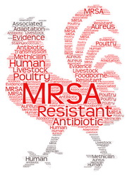האם עופות מהווים מקור ל- MRSA ?