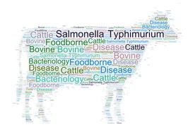 סלמונלה, בריאות הציבור ו...בקר