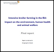 דו"ח חדש בוחן את ממשק גידול העופות האינטנסיבי באירופה