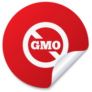 "סערת GMO" באירופה