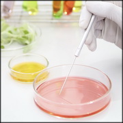 מחקר בינמעבדתי לסיווג זני סלמונלה