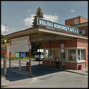 צ'כיה: התפרצות סלמונלה בבני אדם, המקור: עופות