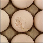 בטיחות המזון מתחילה מחומרי גלם איכותיים