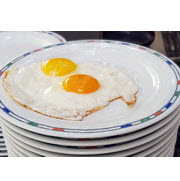 איחזור (ריקול) ביצים בעקבות סלמונלה