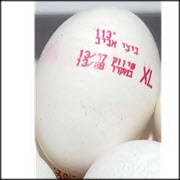 ריקול לביצי מאכל "ביצי אביב"