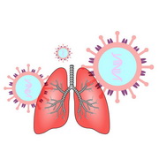 הסיבות לכושר ההדבקה ואלימות נגיף ה-SARS-CoV-2 והדמיון לשפעת עופות