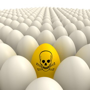 פסיקה משפטית בפרשת ה-Fipronil בביצי מאכל