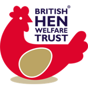 גודל ביצה ורווחת העופות