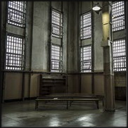 סלמונלה אנטריטידיס במתקן כליאה בנברסקה