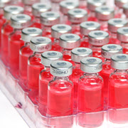 צרפת לקראת החדרת השימוש בתרכיב שפעת עופות