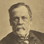 אדם מצפון הארץ נדבק בנגיף הכלבת