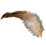 מערכת לקביעת מין העובר עוד בביצה