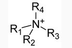 אמינים ואמוניום רבעוני