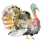 שינוי במדיניות פיקוח על תרנגולי הודו בארה"ב