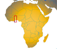 טוגו: שפעת העופות H5N1 אובחנה בתרנגולות