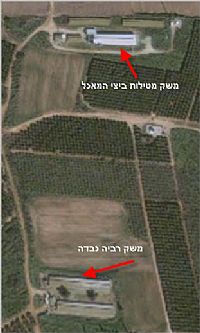 ניוקסל בישוב רמות השבים