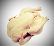 המציאות העגומה של בשר העוף