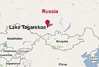 תמותה נרחבת של עופות בר באזור - Krasnoyarsk, רוסיה