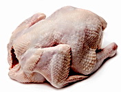 בריטניה: 1 מתוך 5 תרנגולות מזוהמת