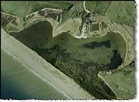 אנגליה: ברבור עשירי מאובחן כנגוע ב- H5N1