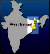 הודו: נגיף שפעת העופות מתפשט למחוזות נוספים במערב בנגל