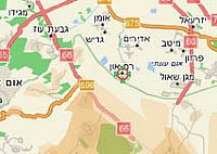 ניוקסל בפרגיות רביה כבדה