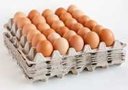 משרד החקלאות שלל רשיונו של משווק ביצים