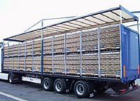 אושרו תקנות להובלות עופות