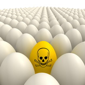 חשד להרעלת מטילות ביצי מאכל