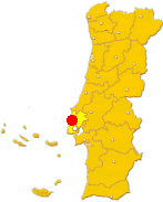 פורטוגל: נגיף שפעת עופות בעל אלימות נמוכה