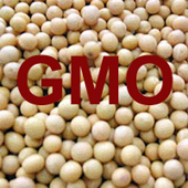 מגדלי העופות בגרמניה: נאלץ להשתמש בסויה מהונדסת גנטית