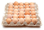 מחירי הביצים צפויים לעלות