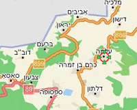 חשד ניוקסל בישוב עלמה