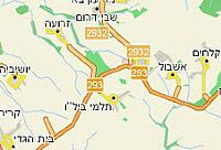 ניוקסל בתלמי ביל"ו