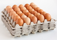 מכסות יצור ביצי מאכל - דעה של פרופסור לפיננסים באוניברסיטת ניו יורק